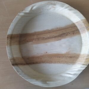10 inch Areca Leaf Plate