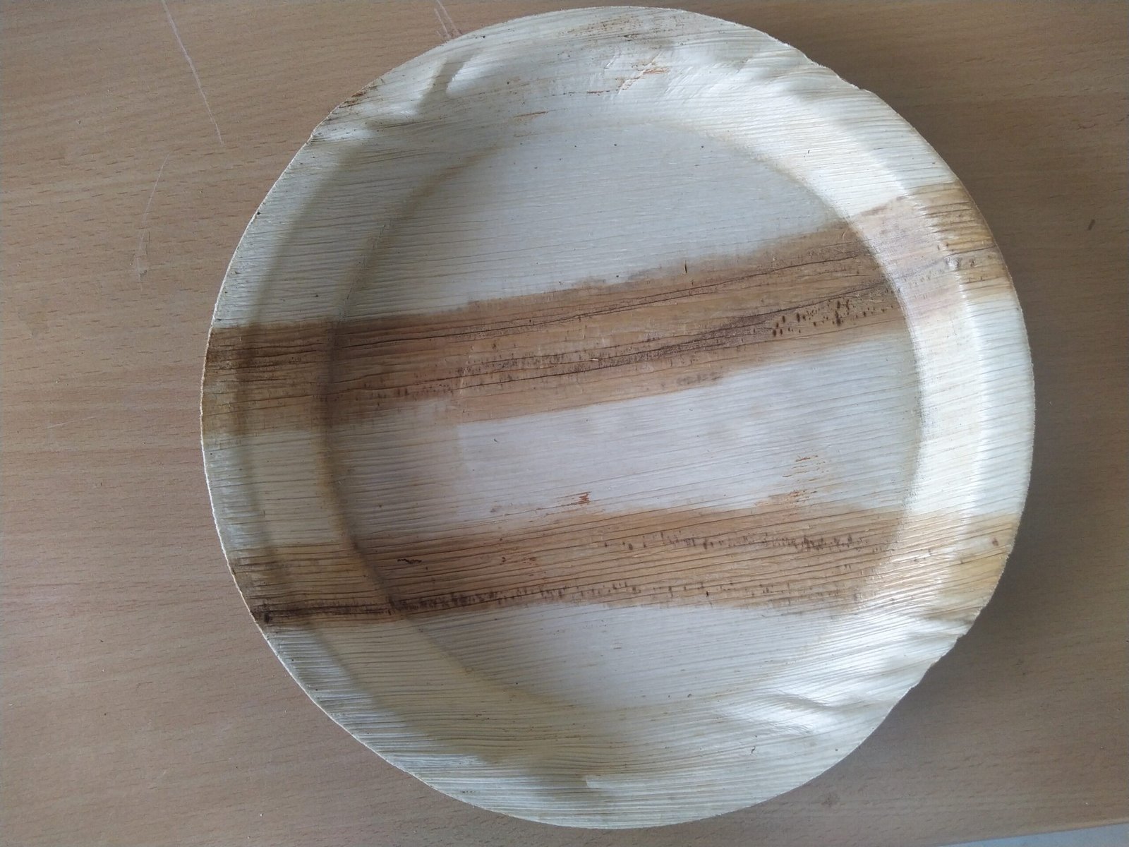10 inch Areca Leaf Plate