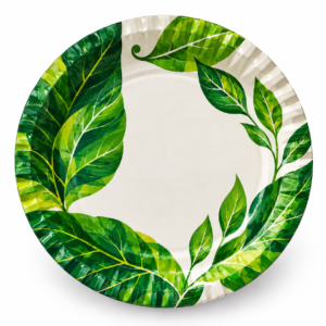 Color Duplex Paper Plate – 8 Inch